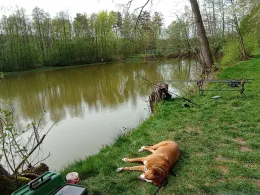 Badweiher (Engelmannsreuth)