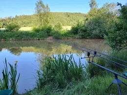 Vereinsteiche Welitsch-2