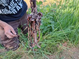 Vereinsteiche Welitsch