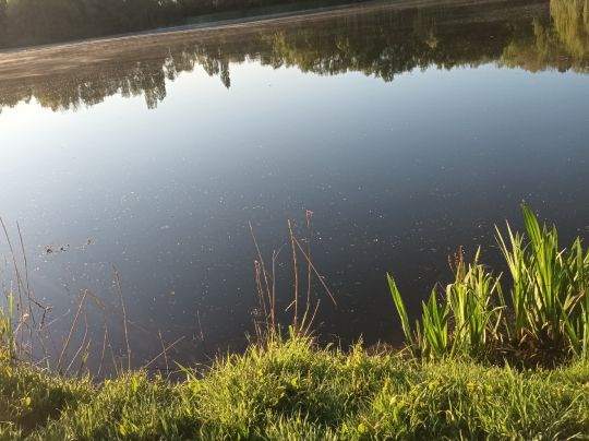 Engelbosteler Teiche-2