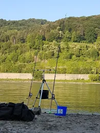 Rhein (Hammerstein)-1