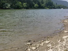 Rhein (Hammerstein)-2