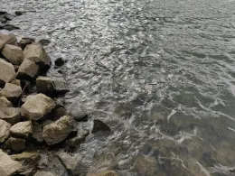 Rhein (Hammerstein)-4