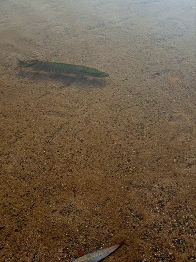 Baggersee Talmühle-2