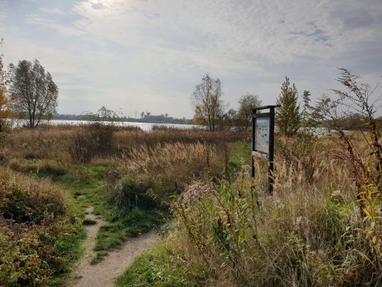 Kiesgrube Hirschfeld-2