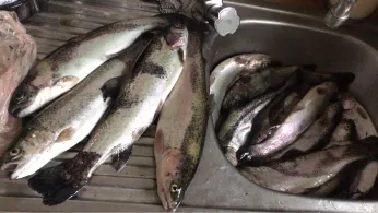 Angelpark in der Ried