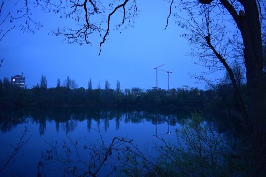 Albertussee (Düsseldorf)-4