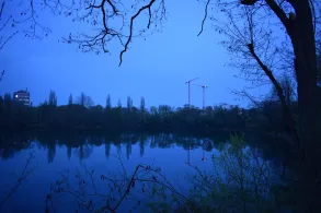 Albertussee (Düsseldorf)-4