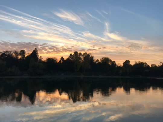 Albertussee (Düsseldorf)-3