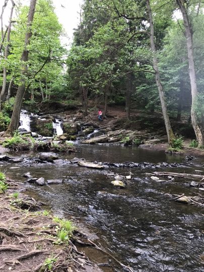 Selke (Harzgerode)-4