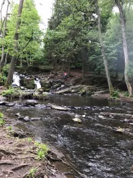 Selke (Harzgerode)-4