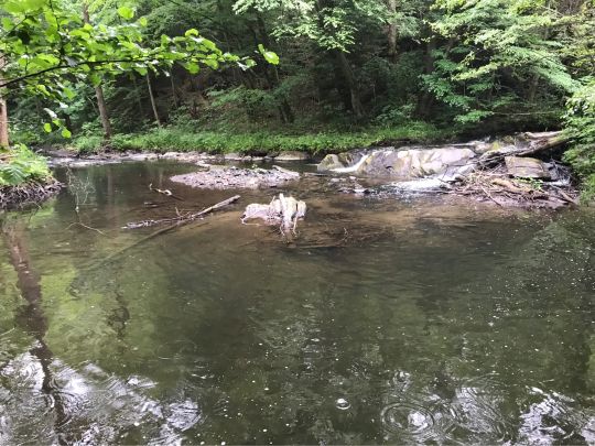 Selke (Harzgerode)-3