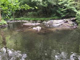 Selke (Harzgerode)-3