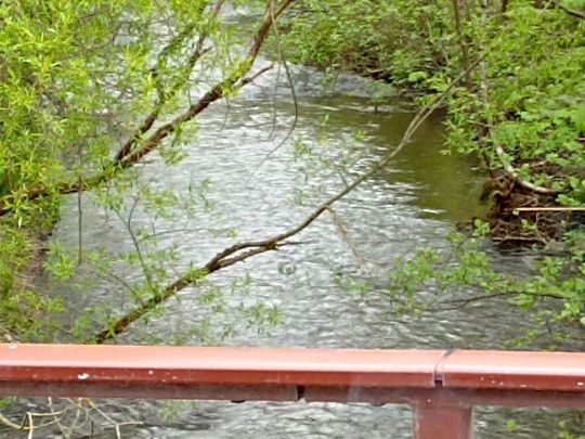 Selke (Harzgerode)-2