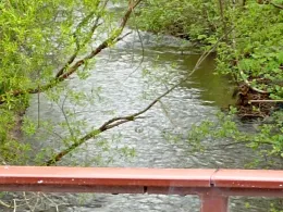 Selke (Harzgerode)-2