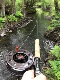 Selke (Harzgerode)-1