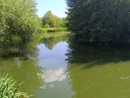 Löschteich (Ilsenburg)-1