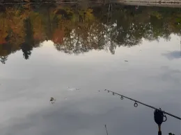 Osterteich (Gernrode)-1