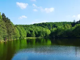 Osterteich (Gernrode)-3