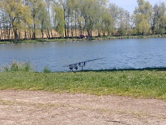 Nieder Weiher (Obermorschwiller)-1