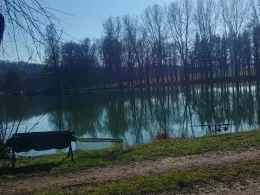 Nieder Weiher (Obermorschwiller)-3