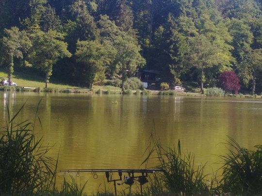 Nieder Weiher (Obermorschwiller)-2