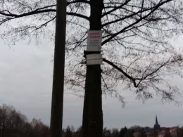 Blanker Teich (Jüterbog)-2