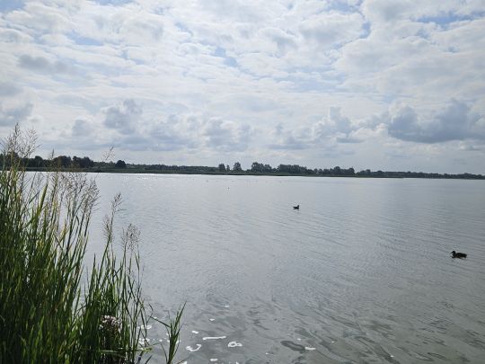 Jezioro Jamno-4
