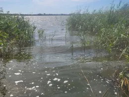 Jezioro Jamno-1