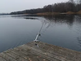 Braunweiher (Feilenmoos)-2