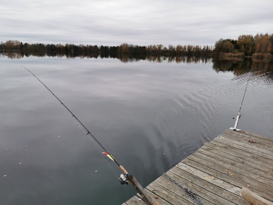 Braunweiher (Feilenmoos)-1