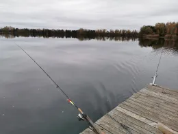 Braunweiher (Feilenmoos)-1