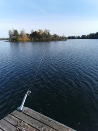 Braunweiher (Feilenmoos)-3