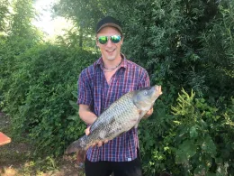 Zusam (Buttenwiesen)