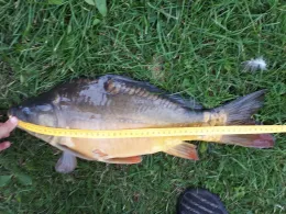 Tonkuhle und Torfstich Ivenacker Tor (Stavenhagen)