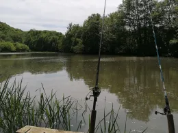 Tiergartenweiher (Braunfels)-1