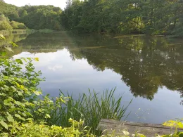 Tiergartenweiher (Braunfels)-3