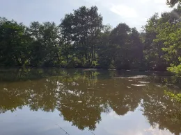 Tiergartenweiher (Braunfels)-4