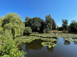 Brillenteiche (Uchte)