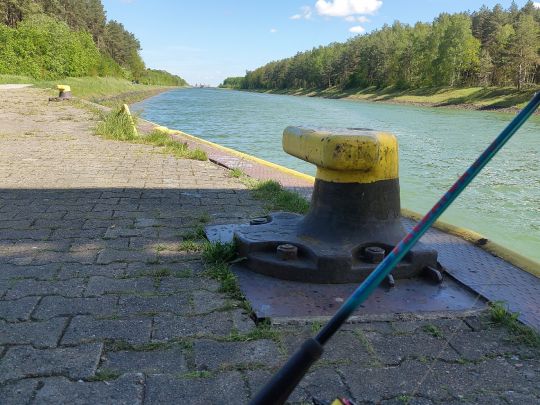 Elbe-Seitenkanal (Lüneburg) angeln
