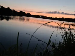 Großer Frankenteich (Stralsund)-3