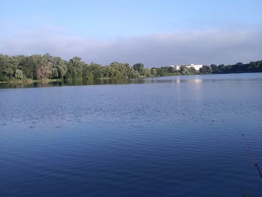 Großer Frankenteich (Stralsund) angeln