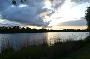 Großer Frankenteich (Stralsund)-1