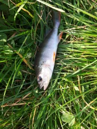 Stau II (Oberkrämer)-1