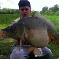 Kocher (Bad Friedrichshall)