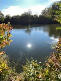 Gögglinger Altwasser-1