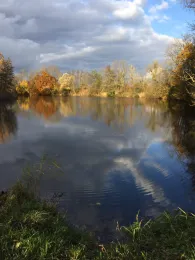 Gögglinger Altwasser-4