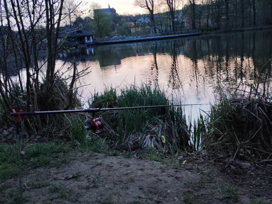 Walkteich (Stollberg)-2