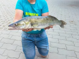 Walkteich (Stollberg)-1