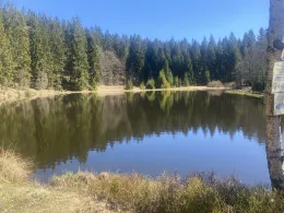 Floßteich (Muldenhammer)